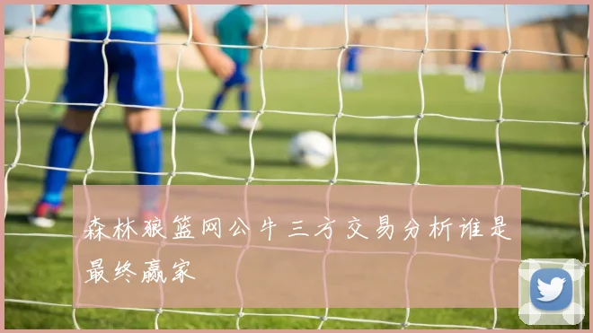 森林狼篮网公牛三方交易分析谁是最终赢家